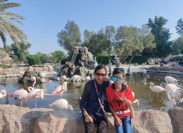 bahrain/zallaq/attraction/al-areen-wildlife-park-birds-area