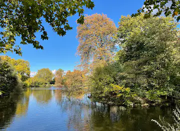Rombergpark Botanical Garden