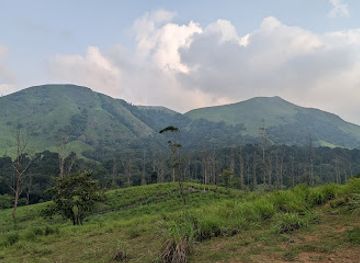 india/kerala/attraction/abraham-s-spice-garden