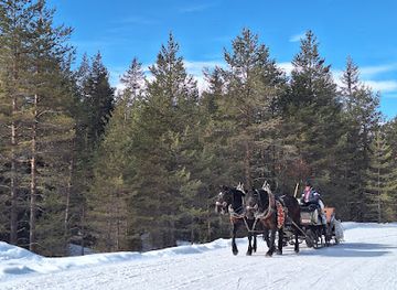 italy/alta-badia/attraction/skilift-ecologico