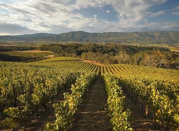 california/napa/attraction/merryvale-vineyards