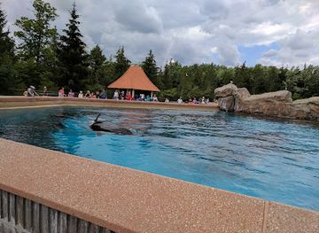 canada/niagara-falls/attraction/sky-screamer