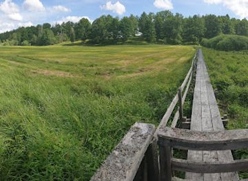 sweden/ostergotland/attraction/vastra-hargs-lovskogar