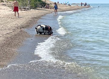 pennsylvania/presque-isle-state-park/attraction/presque-isle-beach-10-budny