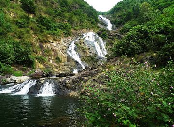 vietnam/tam-dao/attraction/waterfall