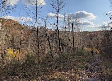 ohio/cuyahoga-valley-national-park/attraction/pine-lane-trailhead-buckeye-trail