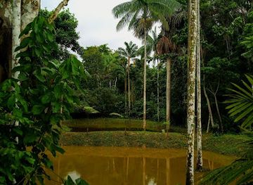 colombia/leticia/attraction/estanque-buho-amazonas