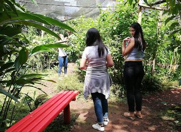 costa-rica/southern-zone/attraction/spirogyra-butterfly-garden