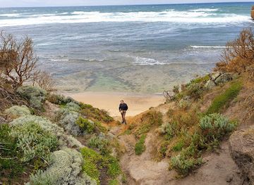 australia/the-twelve-apostles/attraction/wild-dog-cove-port-campbell