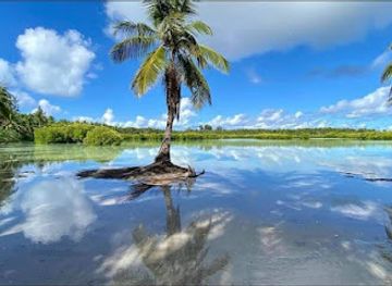 maldives/laamu-atoll/attraction/hithadhoo-mangrove