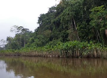 ecuador/amazon/attraction/yasuni-river