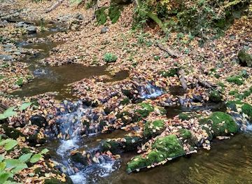 hungary/matra-mountains/attraction/fenyo-erdo