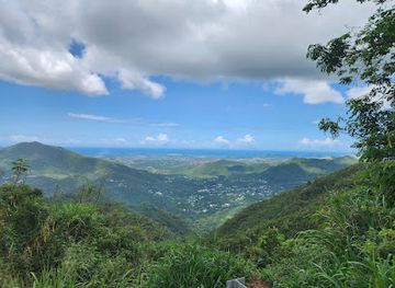 puerto-rico/greater-antilles/attraction/la-curva-del-arbol