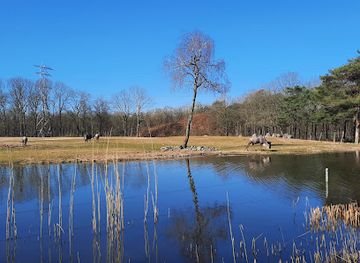 netherlands/veluwe/attraction/burgers-zoo