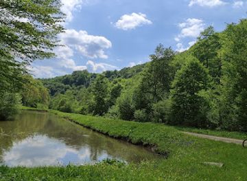 slovakia/poloniny-national-park/attraction/havesova-primaval-forest