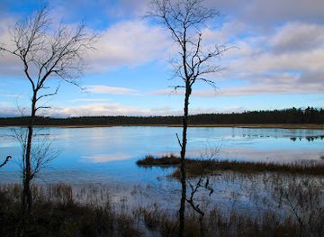 sweden/dalarna/attraction/hamra-national-park