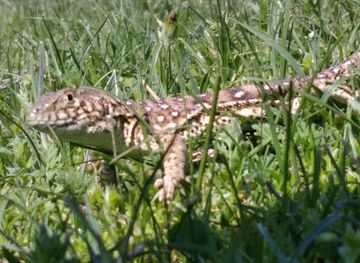 uzbekistan/tashkent-region/attraction/tosh