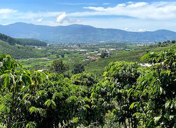vietnam/central-highlands/attraction/flower-park