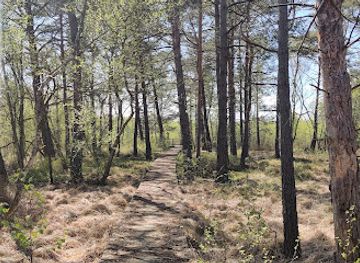 poland/drawa-national-park/attraction/torfowisko-czarne-trail