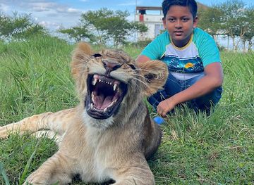 uganda/kigezi/attraction/ctc-conservation-center