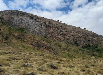 ethiopia/awasa/attraction/cheleleka-wetlands