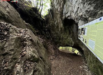 romania/moldova-area/attraction/pestera-munticelu