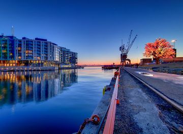 norway/oslo/sentrum/attraction/the-oslo-tree