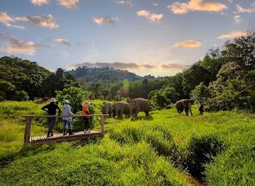 thailand/phuket-province/attraction/bukit-elephant-park