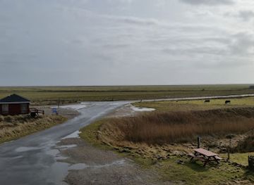 denmark/the-north-sea-islands/attraction/juvre-sand