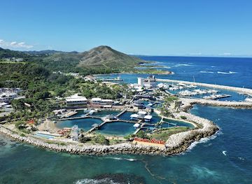dominican-republic/cibao-valley/attraction/ocean-world-adventure-park-puerto-plata-dominican-republic