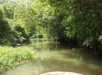 india/kovalam/attraction/poovar-boating-60-discound