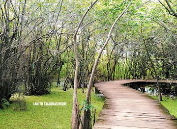 sri-lanka/gampaha-district/attraction/duck-pond-view-point