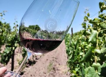 argentina/mendoza/attraction/cecchin-family-winery