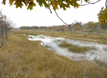 indiana/gary/attraction/pine-station-nature-preserve