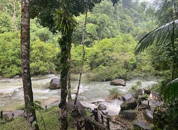 thailand/khao-sok-national-park/attraction/bang-hua-rat