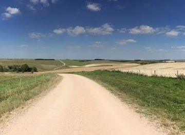 united-kingdom/wiltshire/attraction/salisbury-plain-safaris