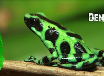 costa-rica/la-fortuna/attraction/natura-eco-park-costa-rica