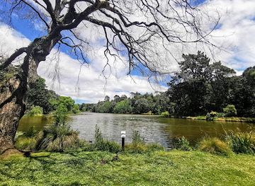new-zealand/manawatu-wanganui/attraction/victoria-park-whanganui