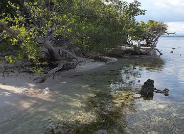 jamaica/east-end/attraction/lime-cay