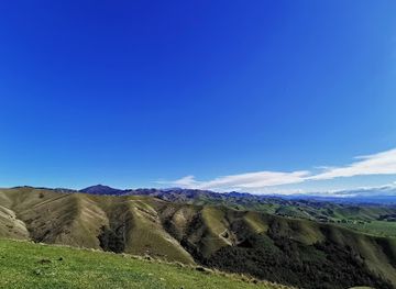 new-zealand/marlborough/attraction/wither-hills-farm-park
