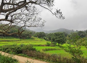 india/east-india/attraction/ananthagiri-water-falls