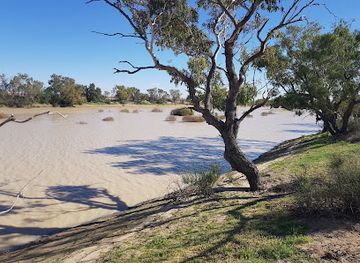 australia/southern-queensland/attraction/munga-thirri-national-park