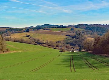 germany/eifel/attraction/vulkanrundweg-rockeskyller-kopf