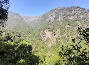 ethiopia/wollo/attraction/gemshat-mountain-forest
