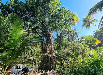 trinidad-and-tobago/edith-falls/attraction/damian-s-bay