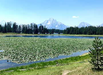 wyoming/bridger-teton-national-forest/attraction/laurance-s-rockefeller-preserve