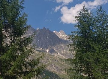 italy/courmayeur/attraction/bosco-del-peuterey