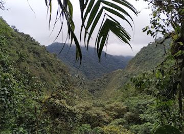 ecuador/sierra/attraction/el-pahuma-orchid-reserve