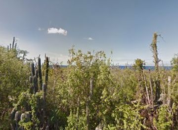 curacao/boca-hulu/attraction/michael-s-blow-s-cave