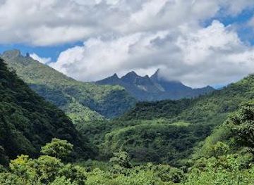 french-polynesia/papeete/attraction/vallee-de-papenoo